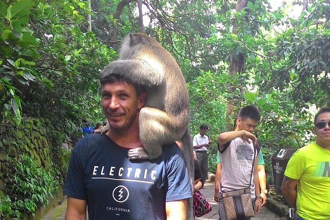Bali Benoa Shore Excursion for Cruises Passenger - All Inclusive - Exploring Balis Attractions