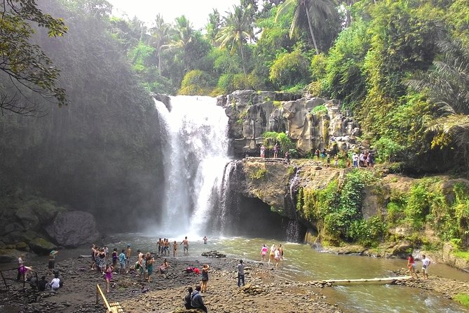 Bali Benoa Shore Excursion for Cruises Passenger - All Inclusive - Traveler Reviews and Recommendations