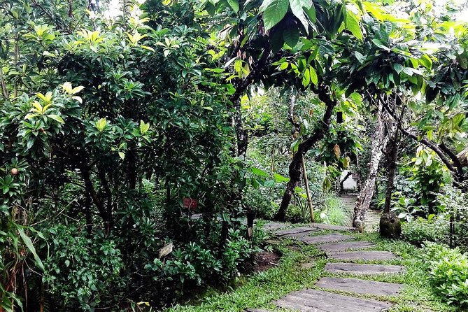 Bali Benoa Shore Excursion for Cruises Passenger - All Inclusive - Booking and Cancellation Information