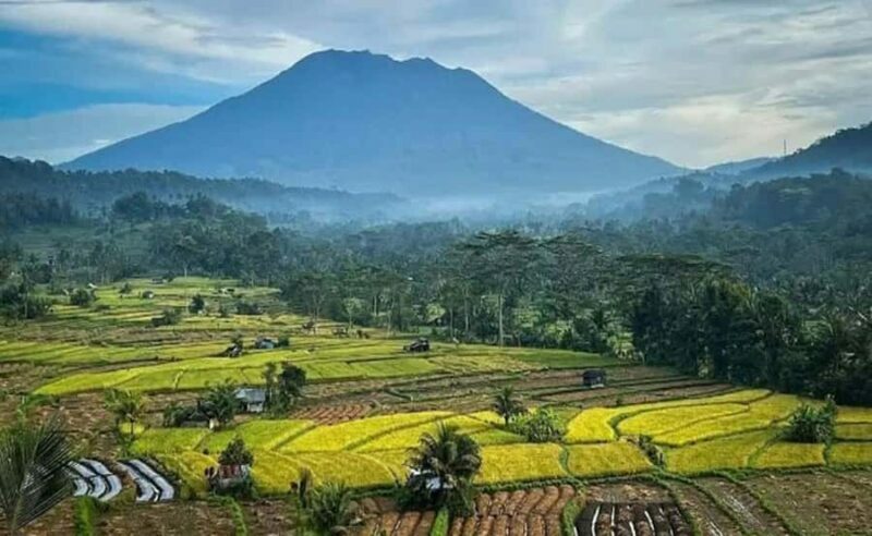 Bali: Besakih Temple and Sidemen Tour - Authentic Experiences and Insights from Travelers