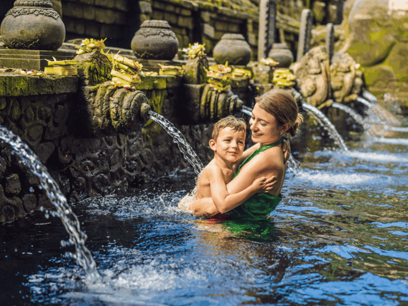 Bali: Best of Ubud. Forest, Paddies, Temple & More. Private - Itinerary Highlights
