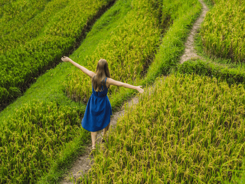 Bali: Best of Ubud. Forest, Paddies, Temple & More. Private - Tour Inclusions and Exclusions