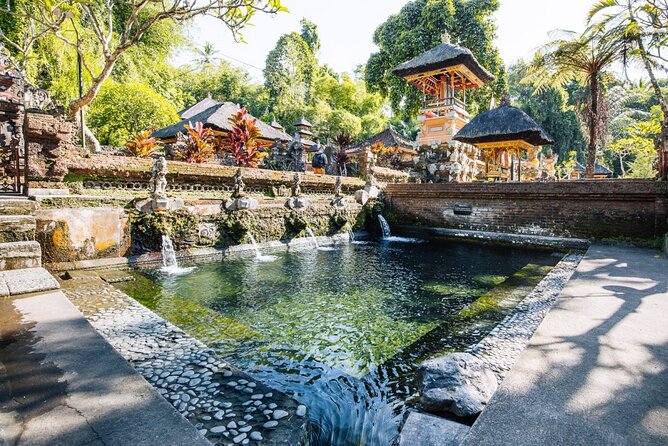 Bali Best Of Ubud Tour Private and All Inclusive - Operator and Certification