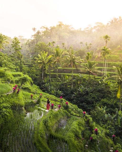 Bali: Best of Ubud Waterfall & Rice Terrace Tour - Explore Hidden Waterfalls