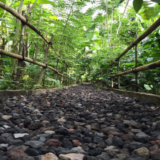 Bali: Best Sunrise Spots & Ubud Monkey Forest Private Tour - Customer Reviews and Ratings