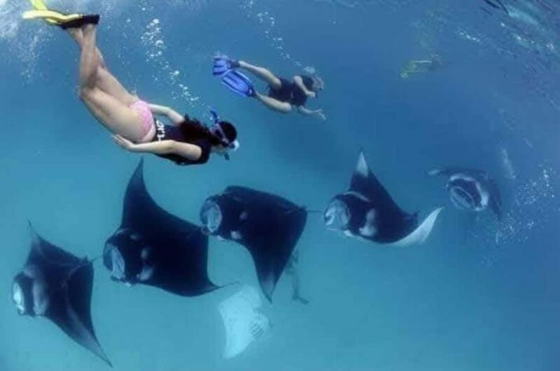 Bali : Best Trip of Nusapenida Island in one day - Who Will Love This Tour?