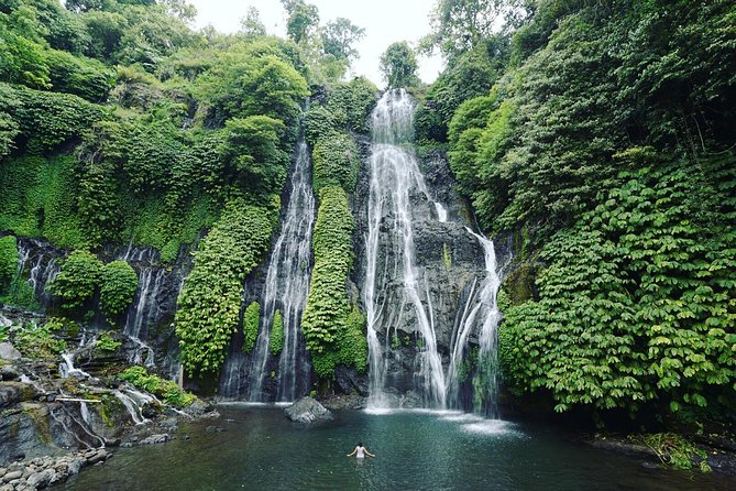 Bali Best Waterfalls Tour : Sekumpul and Banyumala - Inclusion and Exclusion Details
