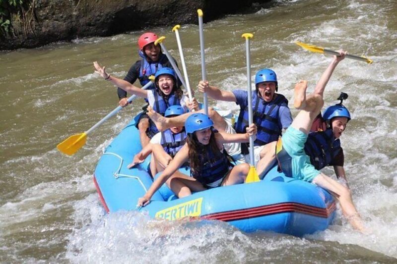 Bali: Best White Water Rafting With Lunch & Private Transfer - Experience Highlights