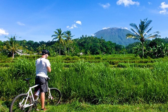 Bali Bike Adventure Tour - Inclusions