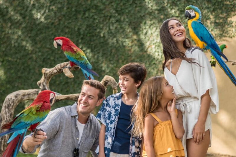 Bali Bird Park 1-Day Admission Ticket - Interactive Experiences and Feeding Shows