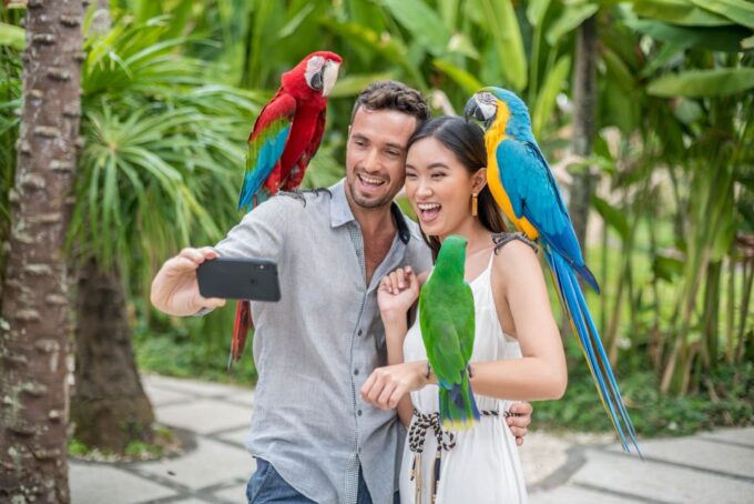 Bali Bird Park 1-Day Admission Ticket - Customer Ratings and Feedback