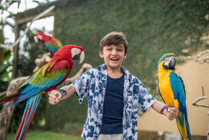 Bali Bird Park 1-Day Admission Ticket - Explore the Bali Bird Park