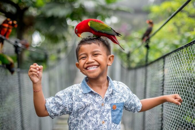 Bali Bird Park 1-Day Admission Ticket - Plan Your Visit