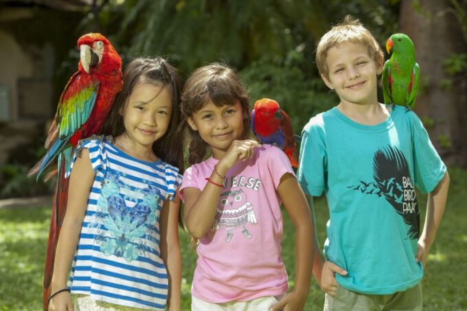 Bali Bird Park: 1-Day Admission Ticket - Pricing and Cancellation