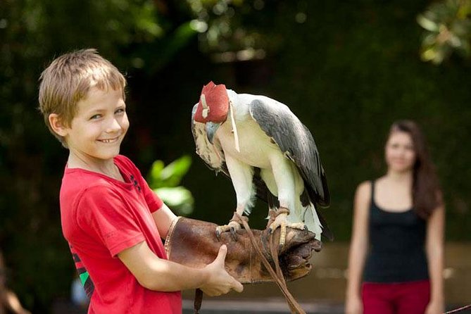 Bali Bird Park Admission Ticket With Hotel Transfer - Included in the Package