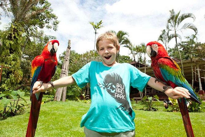 Bali Bird Park Admission Ticket With Hotel Transfer - Customer Ratings and Feedback