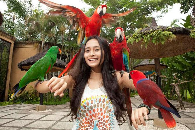 Bali Bird Park Admission Ticket With Hotel Transfer - Duration and Experience