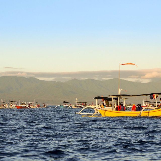Bali Bliss: Dolphin Lovina Private Expedition - Itinerary Options