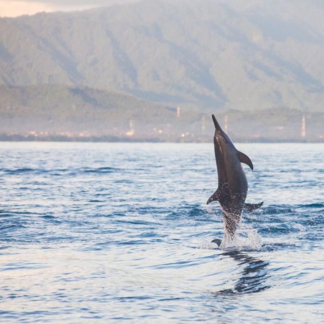 Bali Bliss: Dolphin Lovina Private Expedition - Meeting Point