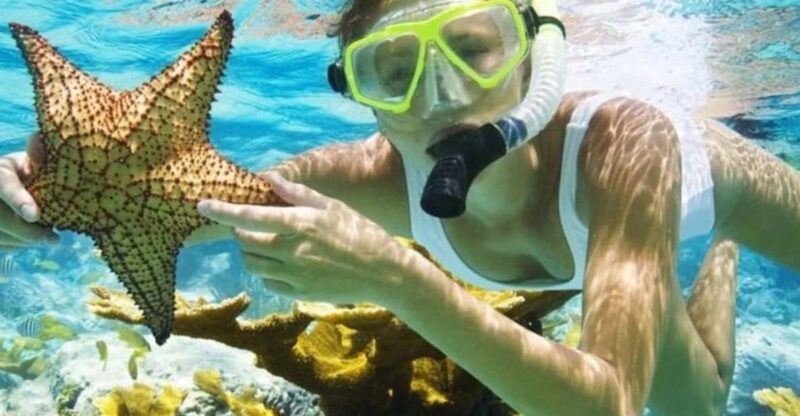 Bali: Blue Lagoon and Tanjung Jepun Snorkeling Trip - Activity Highlights