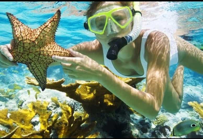 Bali: Blue Lagoon and Tanjung Jepun Snorkeling Trip - Getting Started