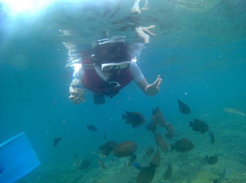 Bali: Blue Lagoon And Tanjung Jepun Snorkeling Trip - Safety Considerations