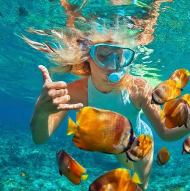 Bali: Blue Lagoon and Tanjung Jepun Snorkeling With Lunch - Key Points