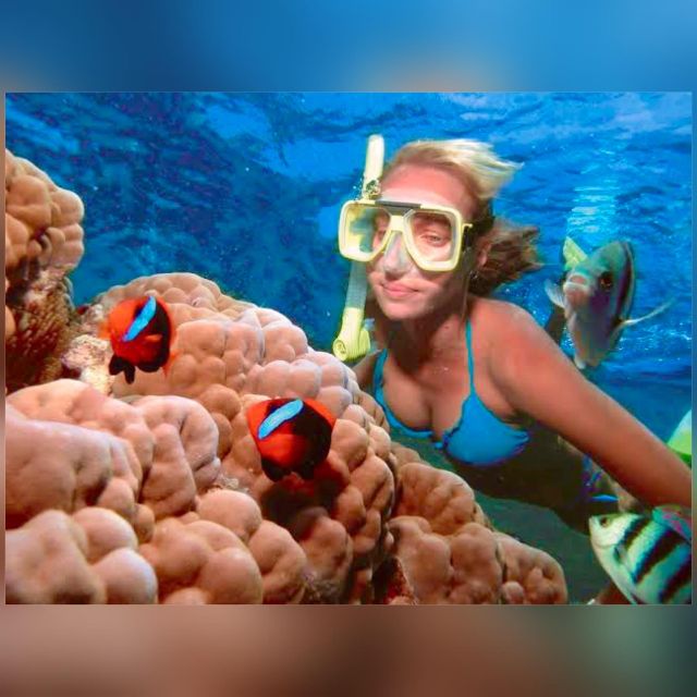 Bali: Blue Lagoon and Tanjung Jepun Snorkeling With Lunch - Itinerary Details