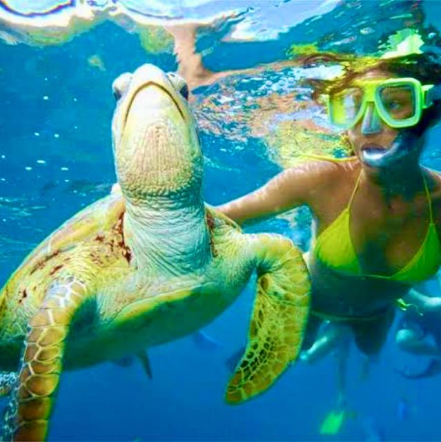 Bali: Blue Lagoon and Tanjung Jepun Snorkeling With Lunch - Included Amenities