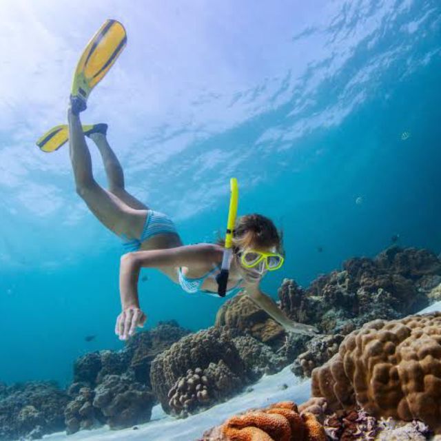 Bali: Blue Lagoon and Tanjung Jepun Snorkeling With Lunch - Customer Feedback