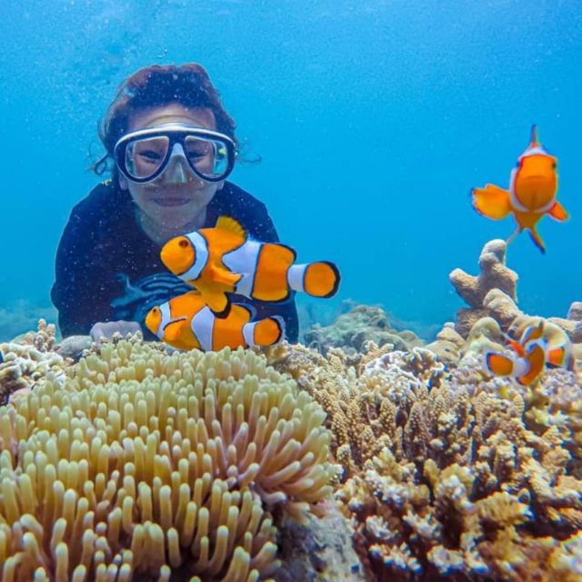 Bali: Blue Lagoon and Tanjung Jepun Snorkeling With Lunch - Transportation Options