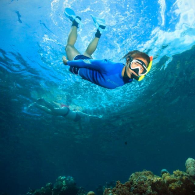 Bali: Blue Lagoon and Tanjung Jepun Snorkeling With Lunch - Pricing and Booking