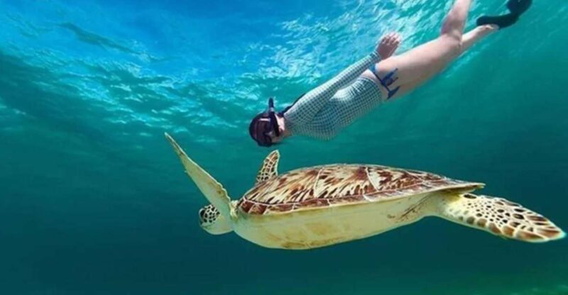 Bali: Blue Lagoon and Tanjung Jepun Snorkeling With Lunch - Snorkeling Equipment