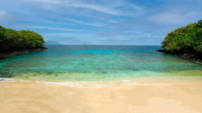 Bali: Blue Lagoon Beach Snorkeling Adventure With Lunch - Inclusions and Amenities