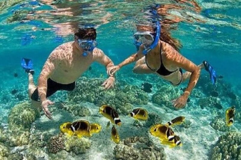 Bali: Blue Lagoon Beach Snorkeling Adventure With Lunch - Important Information