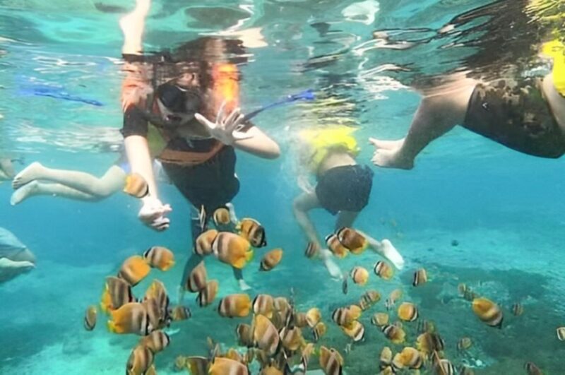 Bali: Blue Lagoon Beach Snorkeling Tour With Lunch - Key Points