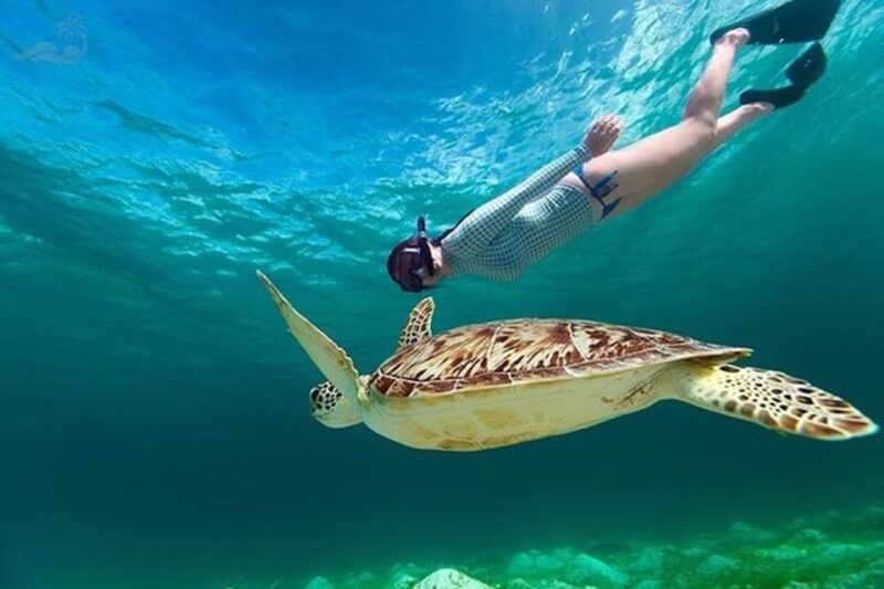 Bali: Blue Lagoon Beach Snorkeling Tour With Lunch - Immersive Snorkeling Experience