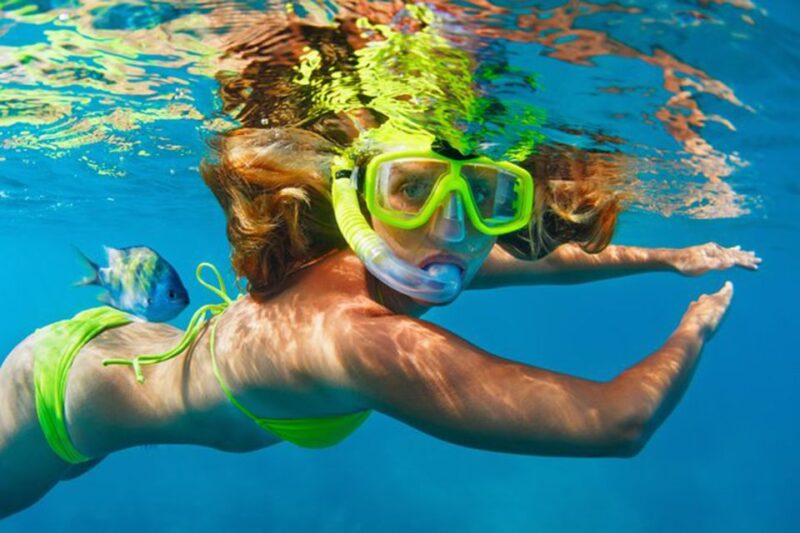 Bali: Blue Lagoon Beach Snorkeling Tour With Lunch - Diverse Marine Life Encounters