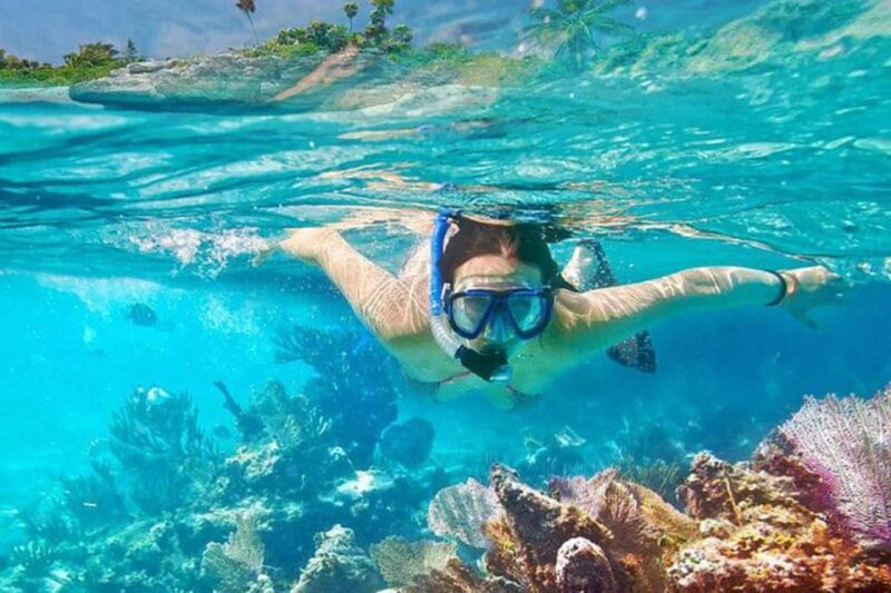 Bali: Blue Lagoon Beach Snorkeling Tour With Lunch - Transportation and Tour Options