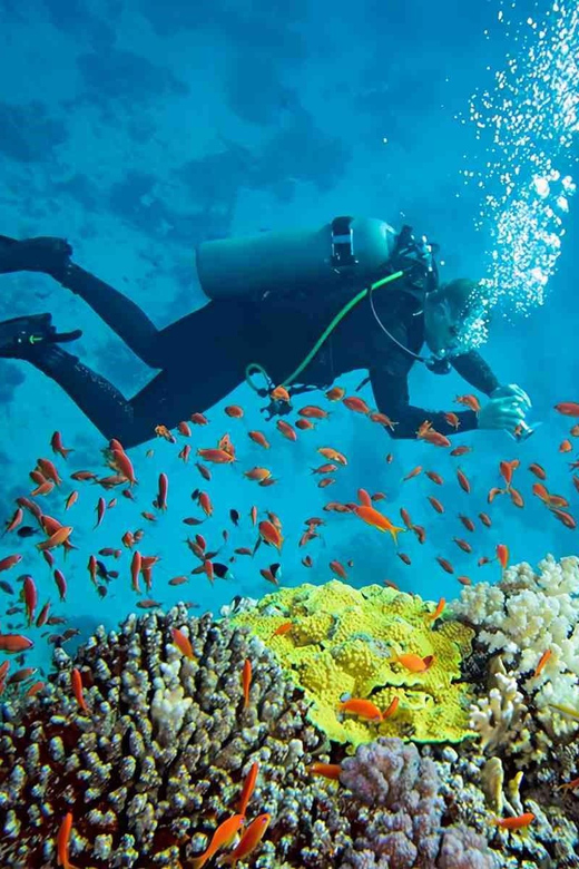 Bali: Blue Lagoon Beach Snorkeling With Lunch - Key Points