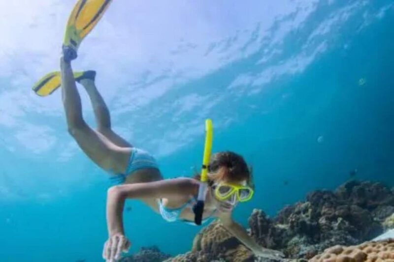 Bali: Blue Lagoon Beach Snorkeling With Lunch - Key Points