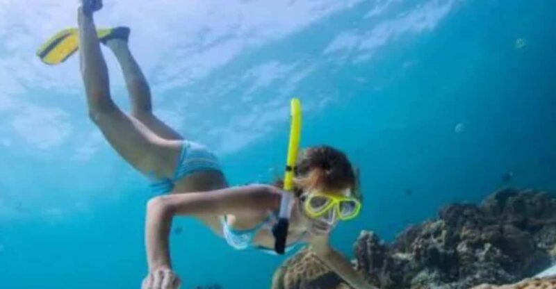 Bali: Blue Lagoon Beach Snorkeling With Lunch - Experience Details