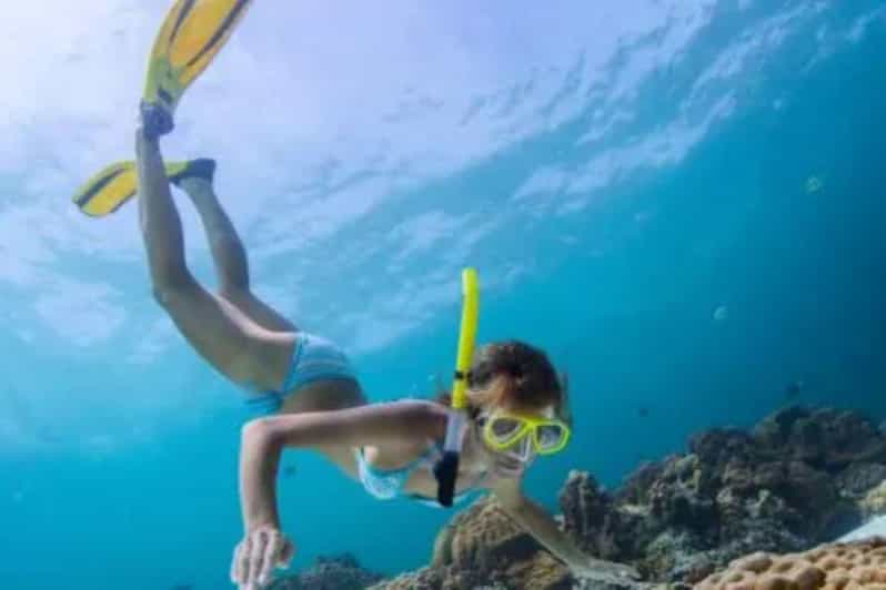 Bali: Blue Lagoon Beach Snorkeling With Lunch - Itinerary