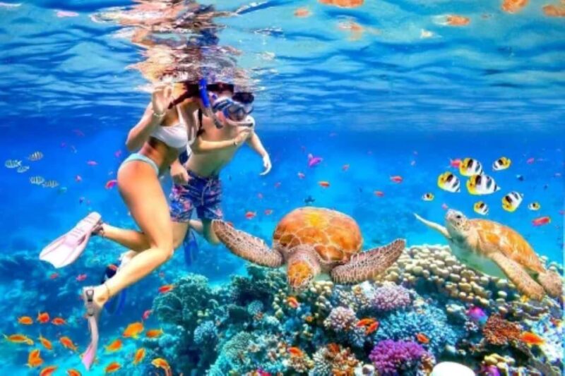 Bali: Blue Lagoon Beach Snorkeling With Lunch - Pickup and Transportation