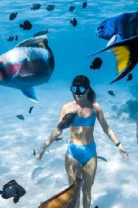 Bali: Blue Lagoon Beach Snorkeling With Lunch - Customer Feedback