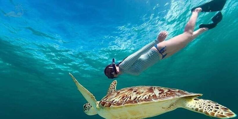 Bali: Blue Lagoon Snorkel, Kanto Lampo & Tibumana Waterfalls - Key Points