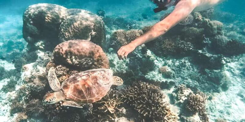 Bali: Blue Lagoon Snorkel, Kanto Lampo & Tibumana Waterfalls - Snorkeling at Blue Lagoon Beach