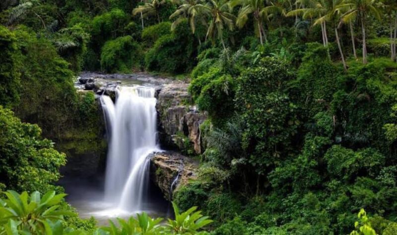 Bali: Blue Lagoon Snorkeling, and Waterfall Private Tour - Important Information