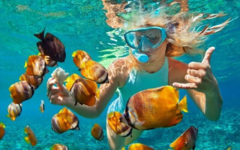 Bali: Blue Lagoon Snorkeling Inclusive of Lunch & Transport - Key Points