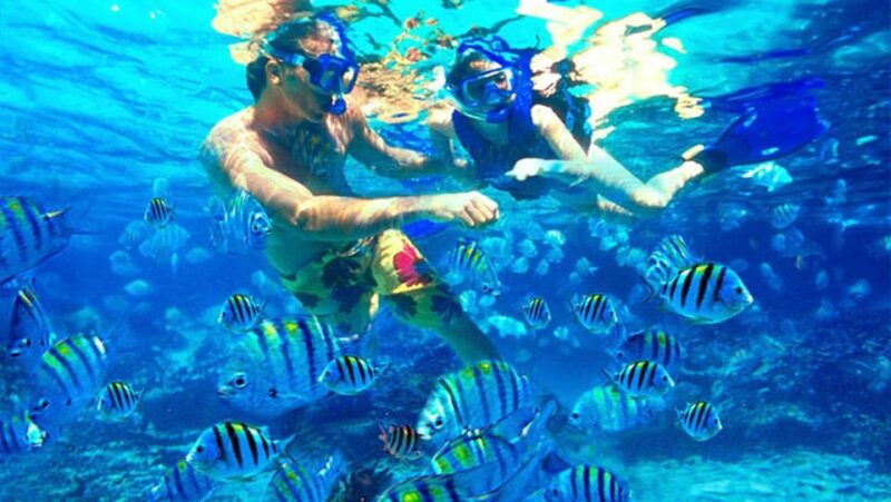 Bali: Blue Lagoon Snorkeling Inclusive of Lunch & Transport - Customer Feedback